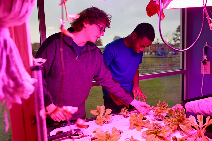 Students checking plants in aquaponics system